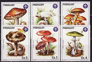 Парагвай, 1985, Грибы, 6 марок